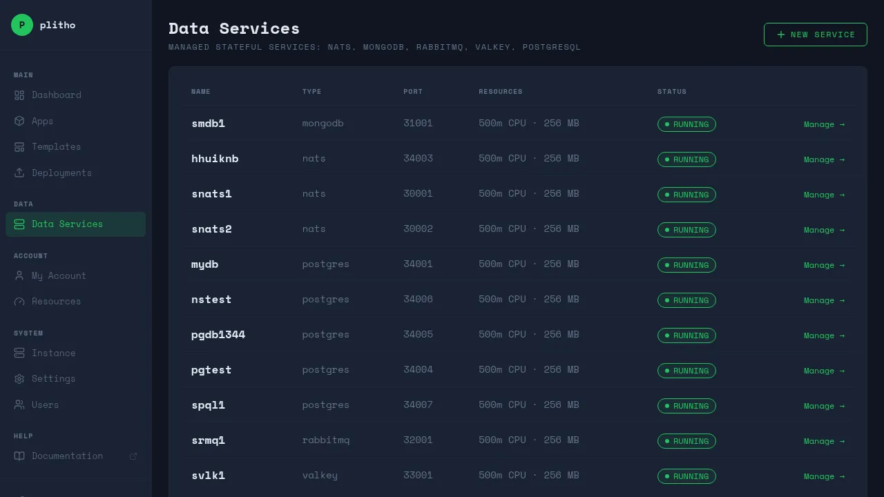 Data Services list